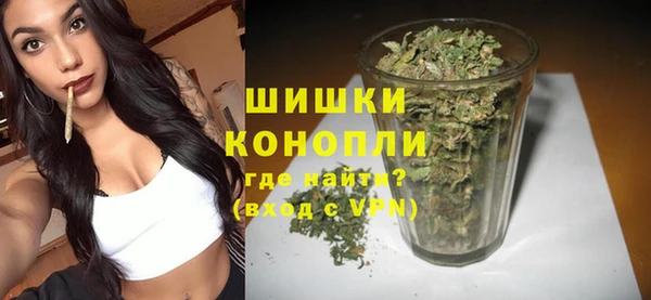 сатива Иннополис