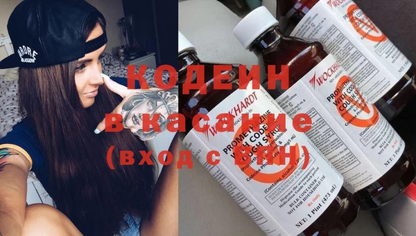 сатива Иннополис