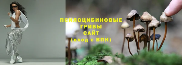сатива Иннополис