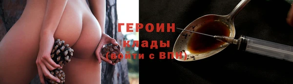 сатива Иннополис