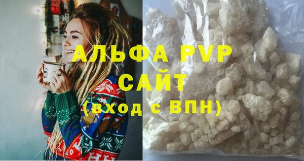 сатива Иннополис