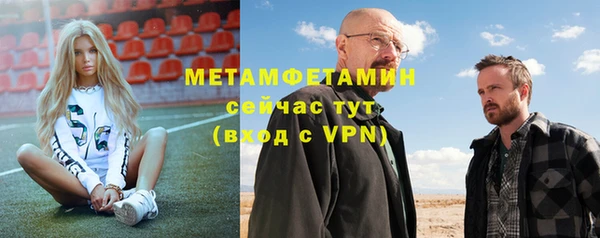 сатива Иннополис